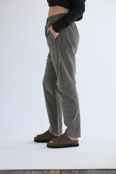 Slim Velvet Trousers in Taupe