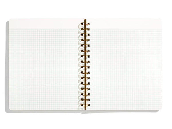 Standard Notebook - Pink Lemonade  Graph
